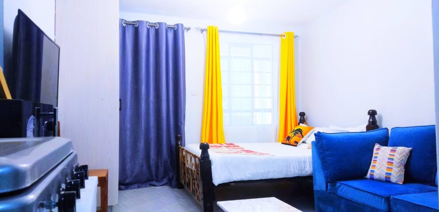  Modern Furnished Studio Apartments – Waiyaki Way,