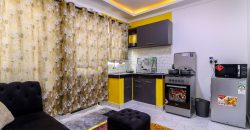  Spad Furnished One Bedrooms Apartments,