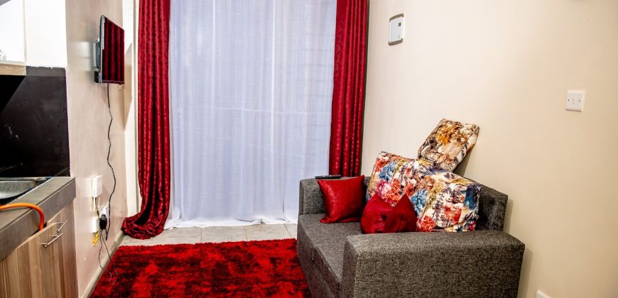 Cozy Tsavo Furnished Studio Apartment – Roysambu, Thika Road