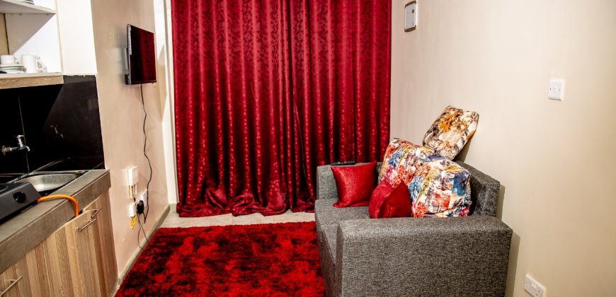 Cozy Tsavo Furnished Studio Apartment – Roysambu, Thika Road