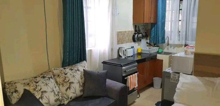 ✨Nicely Furnished Studio – Mountain View Market, Waiyaki Way✨