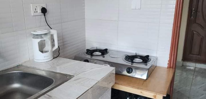 Cozy furnished 1 Bedroom Muthiga along waiyaki way just 15 min drive from westlands ,in a serene ,cool ,quiet with natural view