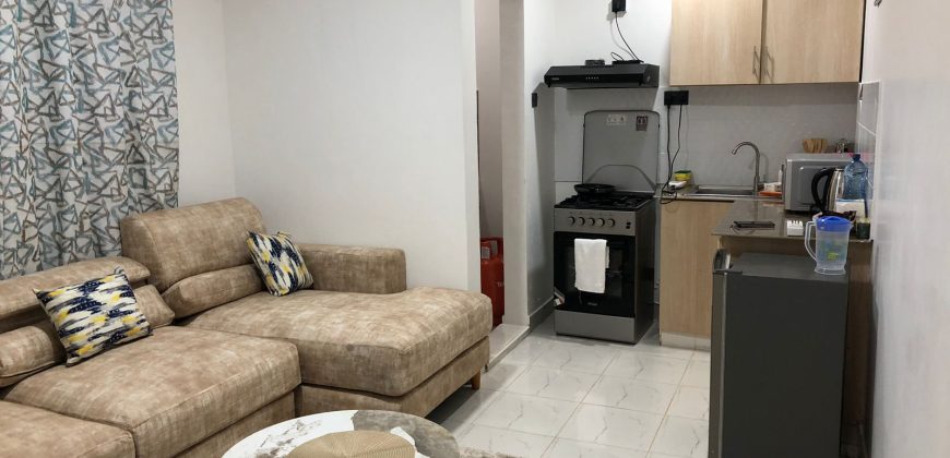 Modern Fully Furnished Studio – Kiambu Road, Thindigua