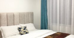 Modern Fully Furnished Studio – Kiambu Road, Thindigua