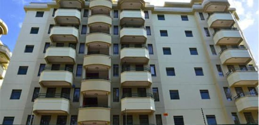 🌟Lofty Magnificent Fully Furnished One  Bedrooms available in Westlands offer lower kabete