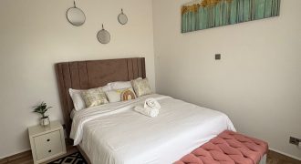 Trendy Furnished 2BR Apartments with Pool Vibes – Tatu City!