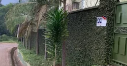 Lofty Magnificent Fully Furnished One Bedrooms available in Westlands offer lower kabete Rd just behind sarit center,
