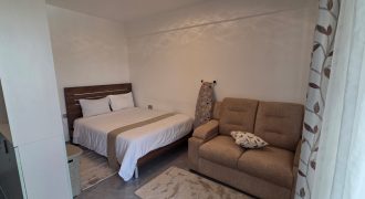 Modern Fully Furnished Studio Airbnb in Kilimani/Kileleshwa
