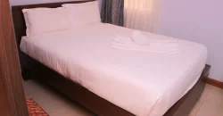 ESCAPE TO NAIVASHA COMFORT & SERENITY Furnished One Bedrooms  Furnished &Serviced Apartments located along South Lake Road
