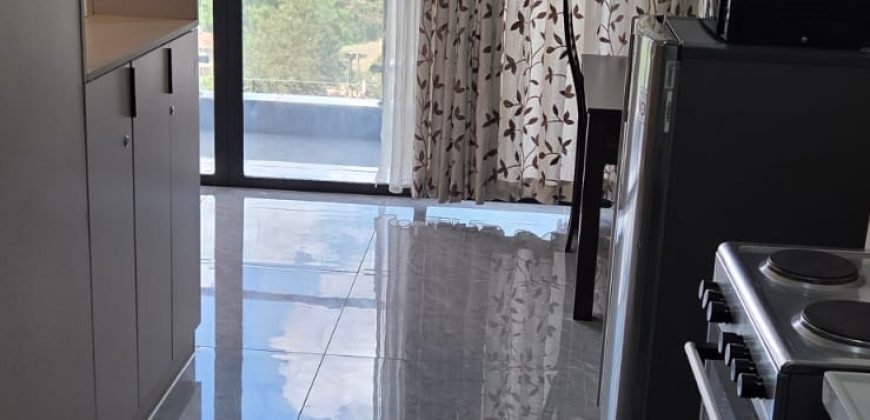 Modern Furnished Studio Kileleshwa Apartment