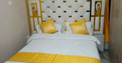 Cozy fully furnished studios & 1-bedroom apartments Dagoratti Corner