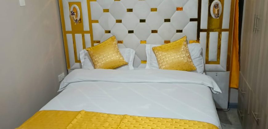 Cozy fully furnished studios & 1-bedroom apartments Dagoratti Corner