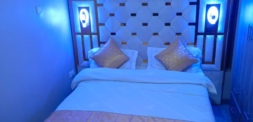 Cozy fully furnished studios & 1-bedroom apartments Dagoratti Corner