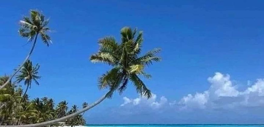 Luxurious 2 Bedrooms villas Diani Coast near Beach