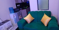 Cozy fully furnished studios & 1-bedroom apartments Dagoratti Corner