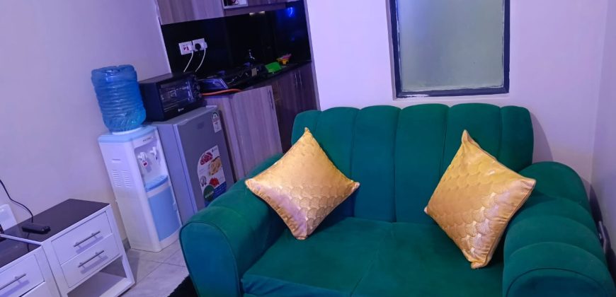 Cozy fully furnished studios & 1-bedroom apartments Dagoratti Corner