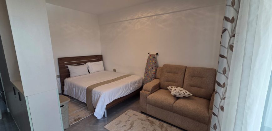 Modern Furnished Studio Kileleshwa Apartment