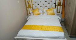 Cozy fully furnished studios & 1-bedroom apartments Dagoratti Corner