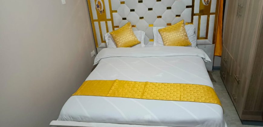 Cozy fully furnished studios & 1-bedroom apartments Dagoratti Corner