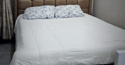 Cozy fully furnished studios & 1-bedroom apartments Dagoratti Corner