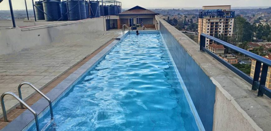 Cozy fully furnished studios & 1-bedroom apartments Dagoratti Corner