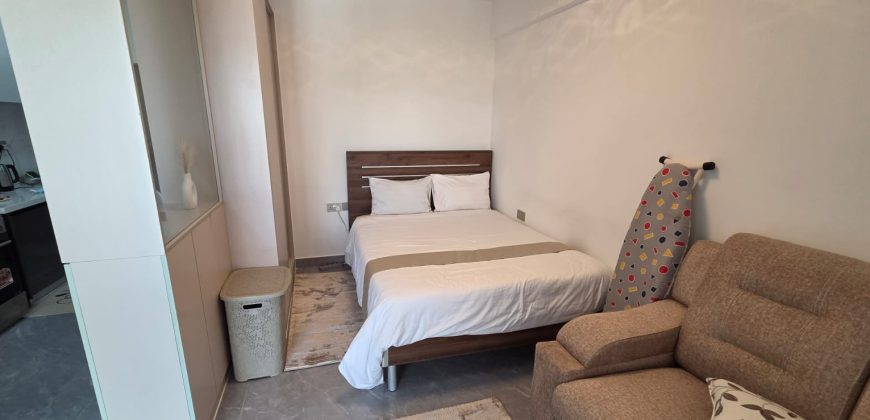Modern Furnished Studio Kileleshwa Apartment